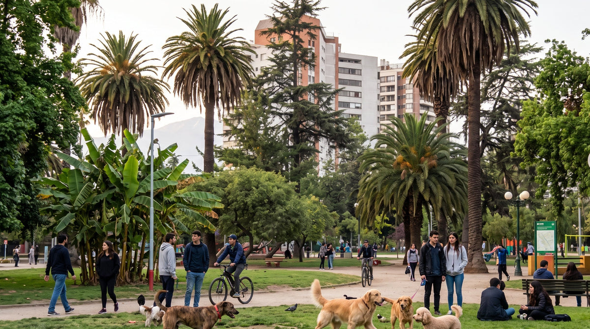 Ñuñoa y su entorno urbano